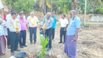 வடக்கு தென்னை முக்கோண வலயத் திட்டம்  : பூநகரி நாச்சிக்குடாவில் 40 பயனாளிகளுக்கு தென்னங்கன்றுகள் வழங்கி வைப்பு